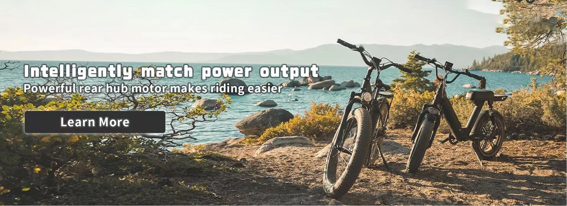 ebike wholesale factory in China