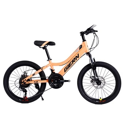 Oceľový rám Hardtail 20 MTB