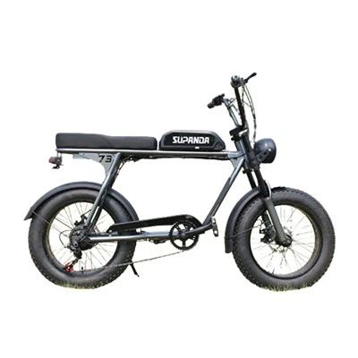 500 wattový horský bicykel
